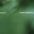 Tanzanfall ALIVEMAEX Endless DA0024