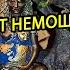 ОТ НЕМОЩИ ДЛЯ ВСЕХ ВЕДЬМИНАИЗБА МАГИЯ