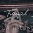 Seven Lions Tritonal Kill The Noise Feat HALIENE Horizon Live Video