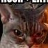 Cat MEMES ULTIMATE MOVIE COMPILATION FULL HALF HOUR