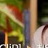 LIVE 최유리 승관 바래진 기억에ㅣ들어봐 유리의 숲 EP 01 EN JP