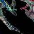Camo Krooked Aurora Ft Metrik Justin Hawkes Remix