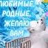 Доброе утро