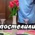 Пранк над соседями накрыли стол в лифте