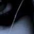 The Pretty Reckless Cold Blooded MUSIC VIDEO HD Lyrics