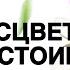 ТАРО твои достоинства Посмотри на себя со стороны Ты расцветаешь