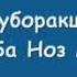 Муборакшо Мерзошоев Сабза ба ноз меояд