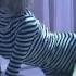 STAR ZOOM IN Wonder Girls SUNMI 24 Hours 원더걸스 선미 24시간이 모자라 복습하기