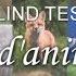 BLIND TEST Cris D Animaux