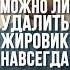 Можно ли удалить ЖИРОВИК навсегда