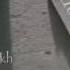 79683552848