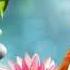 SADAHAM SAWANA ආර ය ම ර ගය 01 Ven Mankadawala Sudassana Himi