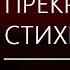 САМЫЕ ПРЕКРАСНЫЕ СТИХИ СЕРГЕЯ ЕСЕНИНА стихиесенина стихиолюбви каражал есенин