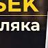 Как заполнить Внесек Wniosek на Карту Поляка Полная инструкция для взрослых и детей