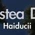Haiducii Dragostea Din Tei MR Instrumental Lyrics Ver ZZang KARAOKE