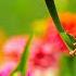 Relaxing Music Healing Music For The Heart And Blood Vessels Gentle Music Music For The Soul