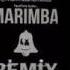 Alone Ringtone Marimba Remix