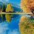 Places In New York That Don T Feel Real Travel Nature Explore Shorts