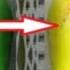 How To Ripen Mangoes Faster At Home 5 Simple Methods