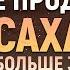 Не продают САХАР больше 3 кг в одни руки ПОБЕДИЛИ ДЕФИЦИТ сахара в России
