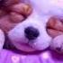 Lullaby For Babies To Go To Sleep 656 Bedtime Lullaby For Sweet Dreams Baby Sleep Music