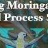 Making Moringa Mint Cold Proess Soap