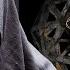 Morttagua The Mantra Morttagua In The Tribe Mix Timeless Moment