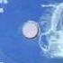 CARAT TRAX II By ZOLEX THE MESSAGE VERONIQ MAS MIX Mp4