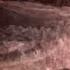 Starship Uncontrolled Reentry 27 May 2025