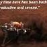 NASA S Mars Rovers Sad Last Words