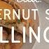 Vegan Squash Mushroom Wellington Deliciously Ella