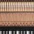 15 Hit M Joe Boogie Woogie Advanced