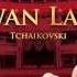 Bolshoï National Theatre Algys Juraitis Swan Lake Act II Dance Of The Swans