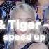 CAT TIGER X IN SPEED UP PRIVEDESHKA