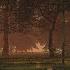 Rainy Forest Ambience Deep Sleep Rain Sound ASMR