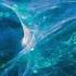 Seth Hills ID Light Electro House BEST QUALITY