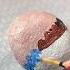 Easy Rock Painting Artisy By Madeeha Art Painting Youtubeshorts Viral Shorts Millionviews