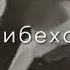 музыка Ой лайло лайло