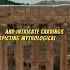 Temple Of Bacchus Bekaa Valley Lebanon Bacchus Bekaavalley Lebanon Lübnan Templeofbacchus
