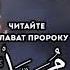 ЗИКАР ГРОЗНЫЙ САЛАВАТ ДУЬЛШ