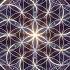 Flower Of Life Meditation Video 4K Music By Test Shot Starfish