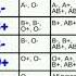 ABO Blood Group Blood Group System In Hindi History Of ABO Blood Group Blood Group Method