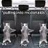CAT MEMES Vacation With Family Catmemes Relatable Shorts