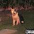 Tchaikovsky X Deftones Type Beat Classical X Alt Rock Appreciate You Trying Prod Daanish