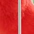 Canário Belga Vermelho Canto Disparado Contínuo