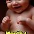 Fetal Development Month By Month Pregnancyjourney Babydevelopment