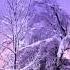 Winter Wonderland Liquid Drum N Bass Mix 2016 17 DJMoley