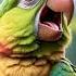Birdie Friends Rhyme Kids Childrensrhymes