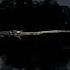 The Timing Was So Perfect Hunt Showdown Tide Of Desolation