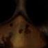NIGHT 5 CUSTOM NIGHT ATTEMPT Five Nights At Chuck E Cheese S Rebooted